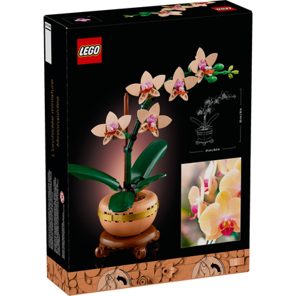 LEGO® Botanicals 10343 Miniatúrna orchidea