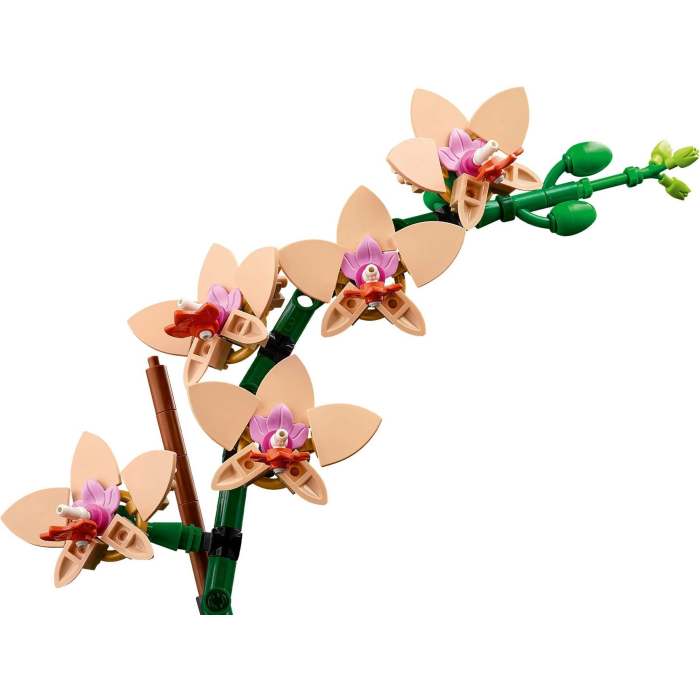 LEGO® Botanicals 10343 Miniatúrna orchidea