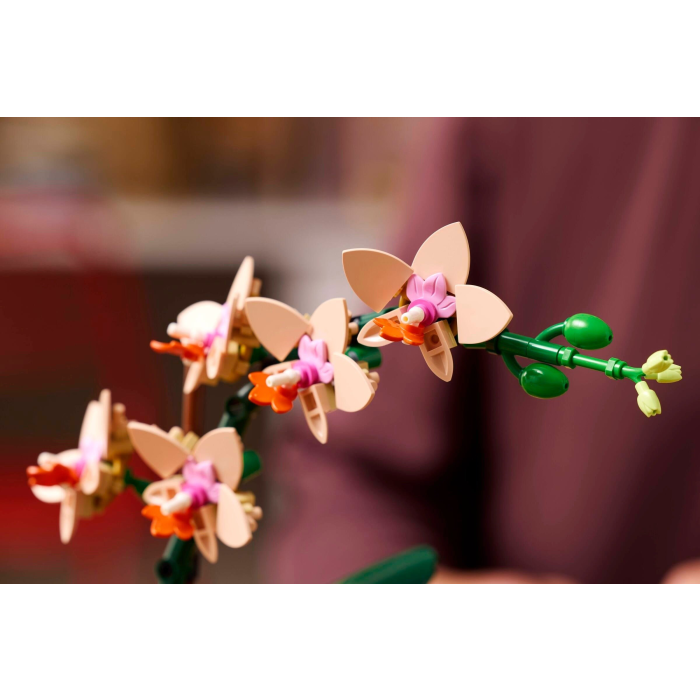 LEGO® Botanicals 10343 Miniatúrna orchidea