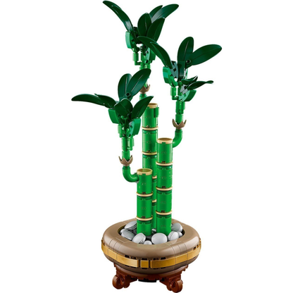 LEGO® Botanicals 10344 Bambus šťastia