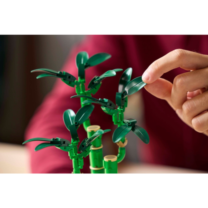 LEGO® Botanicals 10344 Bambus šťastia