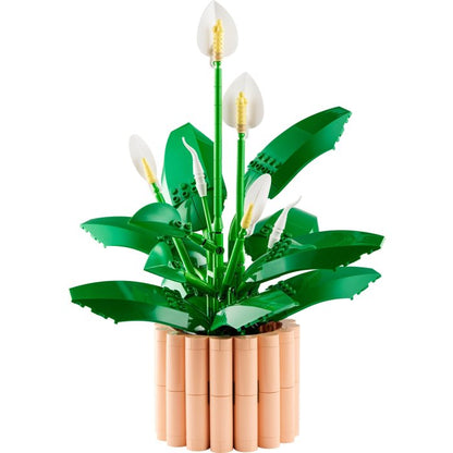 LEGO® Botanicals 11504 Lopatkovec